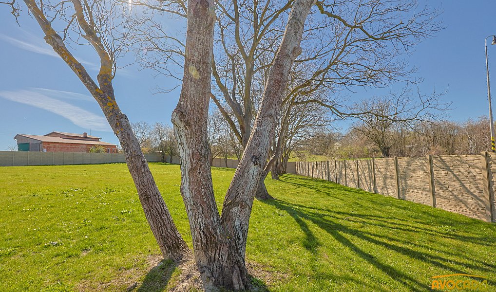 Prodej stavebního pozemku 2 900 m², Malešov – náhled fotky 11