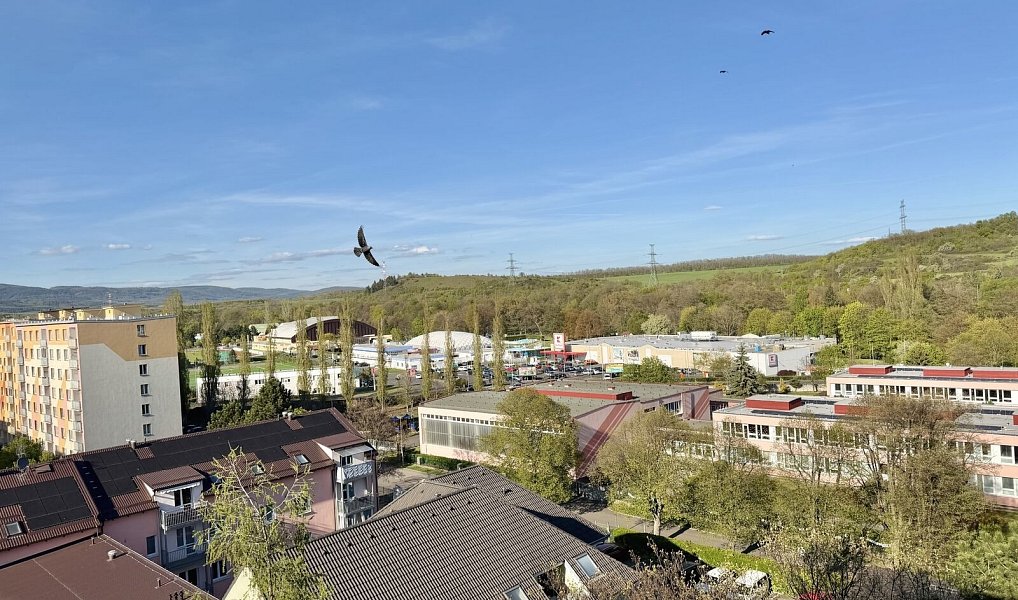 Prodej bytu 4+1 77 m², Kadaň – náhled fotky 6
