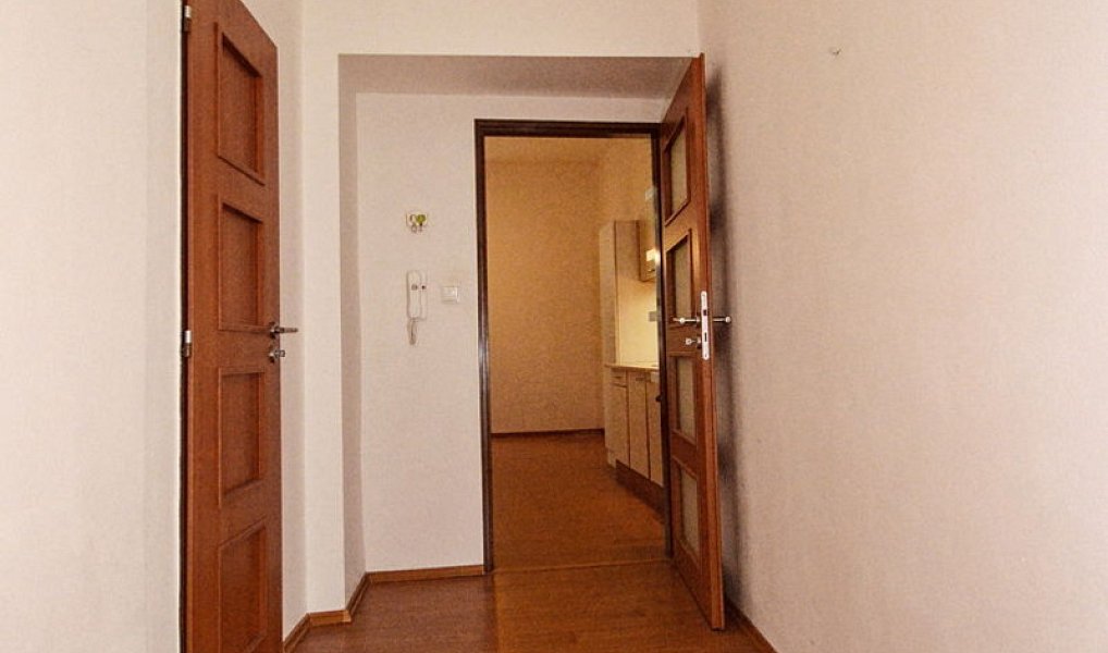 Pronájem bytu 1+1 44 m², Plzeň – náhled fotky 3