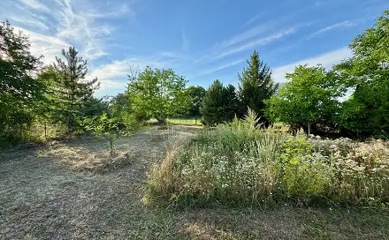 Prodej stavebního pozemku 1 466 m², Drahanovice, okres Olomouc