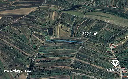 Prodej pole 604 m², Mutěnice, okres Hodonín