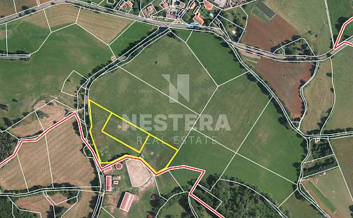 Prodej stavebního pozemku 17 631 m², Nechvalice - Ředice, okres Příbram