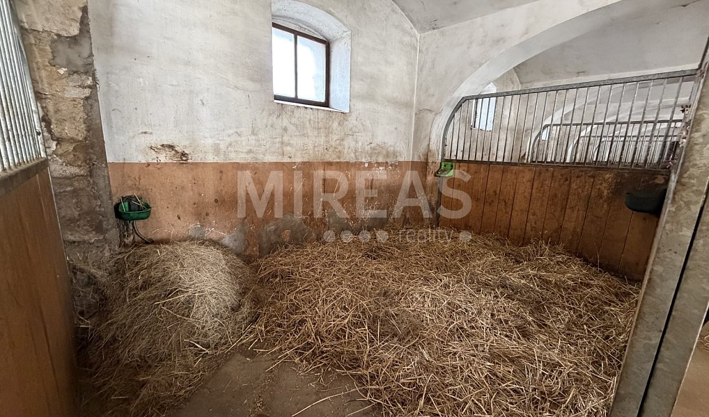 Pronájem zemědělského objektu 250 m², Strenice – náhled fotky 11