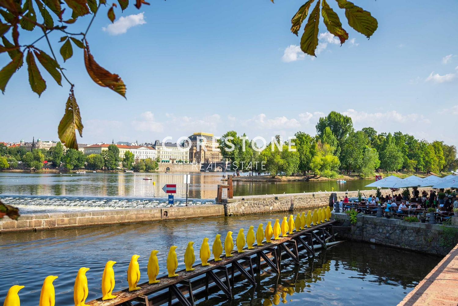 Prodej nájemního domu, činžáku 900 m² – fotografie 3