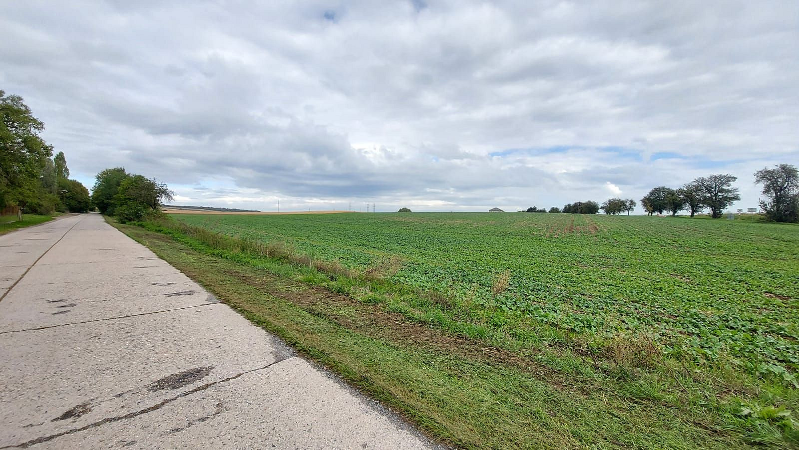 Prodej stavebního pozemku 25 000 m²