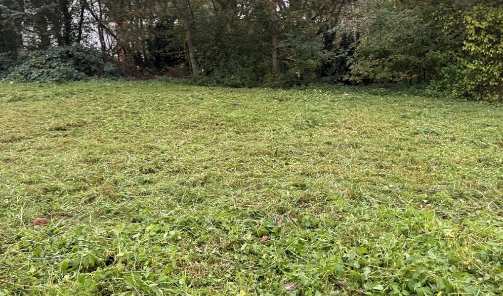 Prodej pozemku 991 m², Průhonice – náhled fotky 3