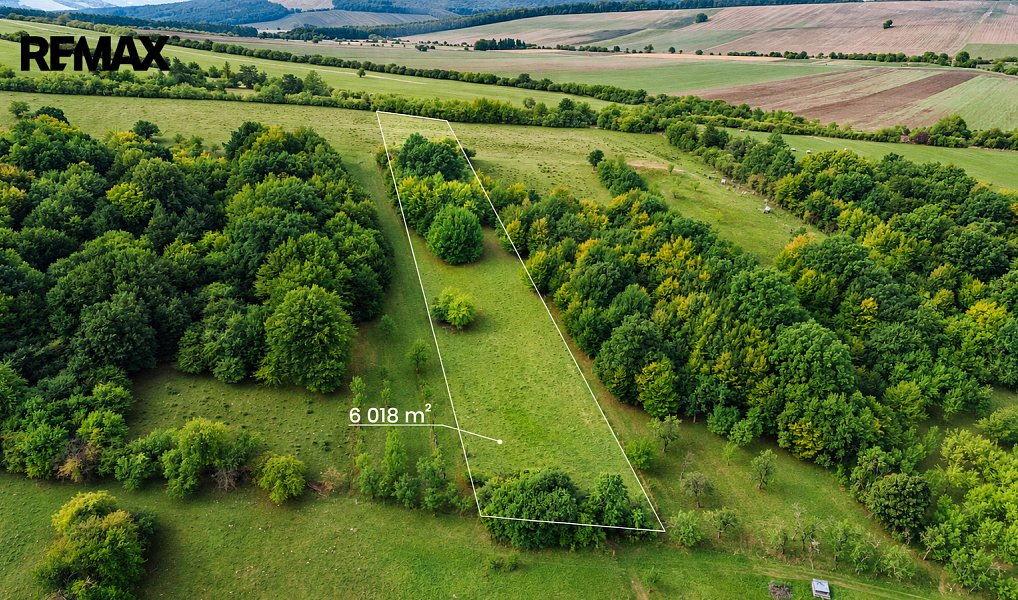 Prodej pole 22 934 m², Javorník – náhled fotky 11