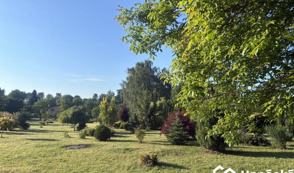 Prodej zahrady 3 994 m², Bělotín – náhled fotky 8
