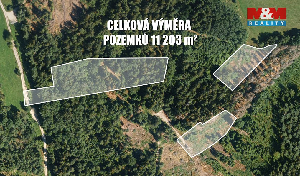 Prodej lesa 11 203 m², Železný Brod – náhled fotky 2