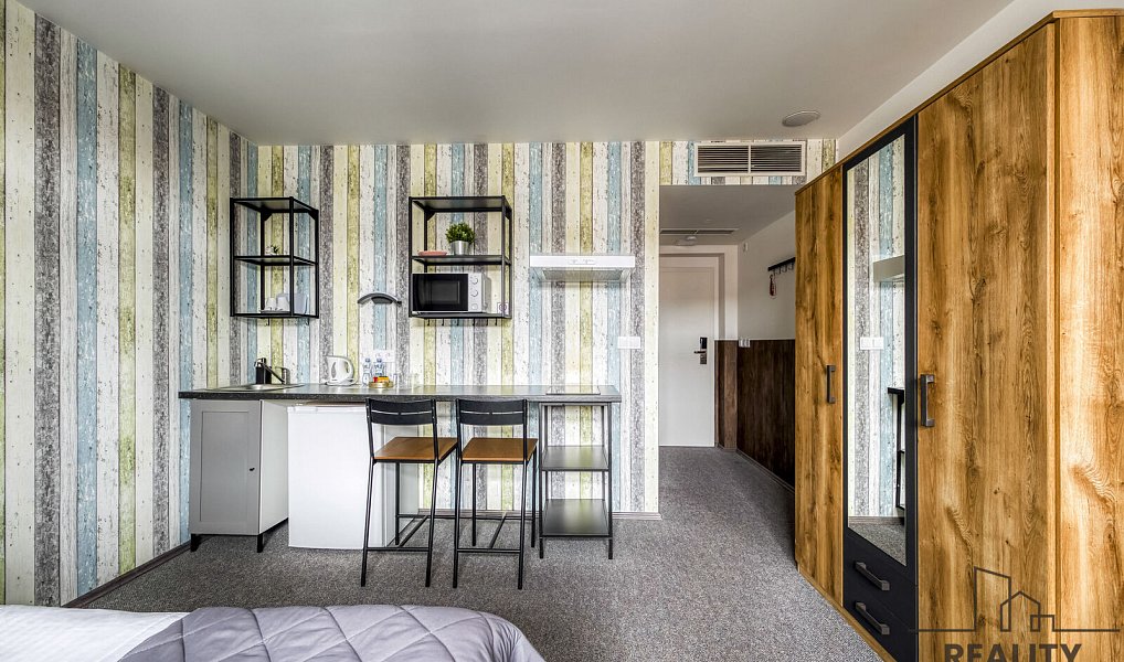 Pronájem bytu 1+kk 24 m², Praha – náhled fotky 2