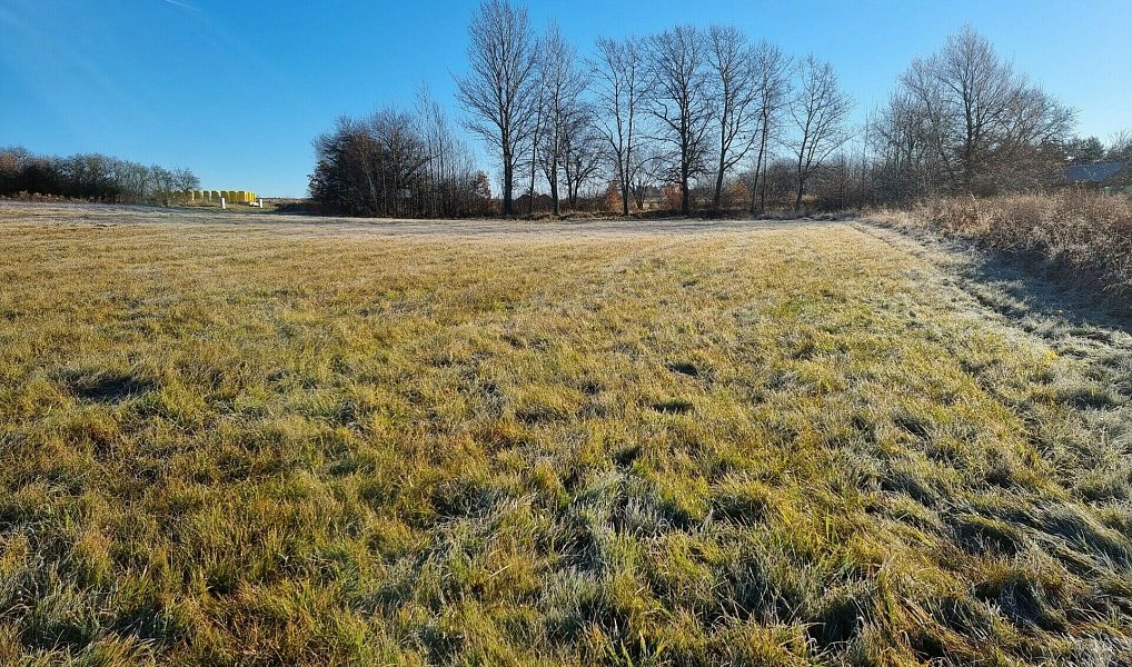 Prodej stavebního pozemku 3 863 m², Vranovice – náhled fotky 5