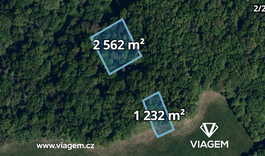 Prodej lesa 4 861 m², Kelníky – náhled fotky 5