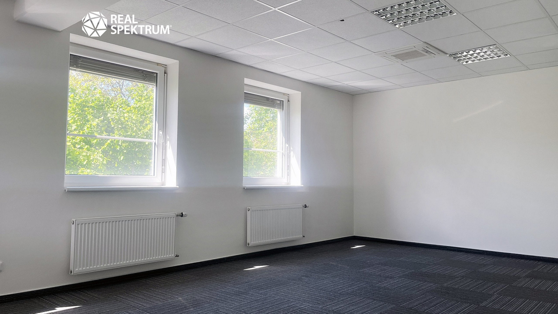 Pronájem kanceláře 213 m² – fotografie 5