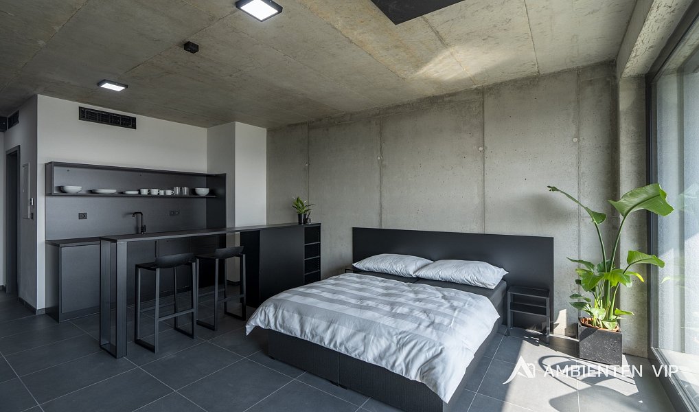 Pronájem bytu 1+kk 42 m², Brno – náhled fotky 6