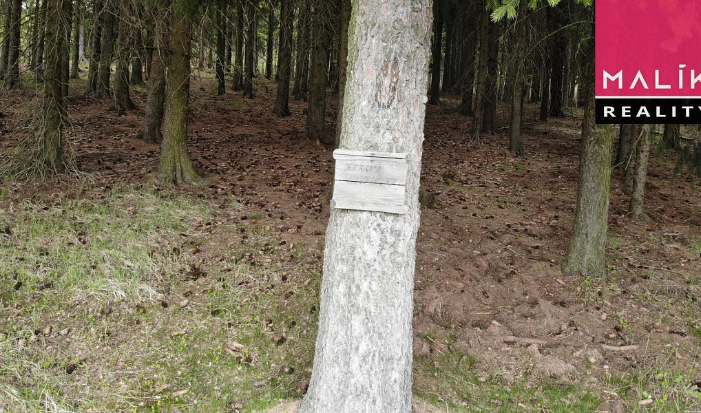 Prodej louky 69 991 m², Stráž nad Ohří – náhled fotky 2