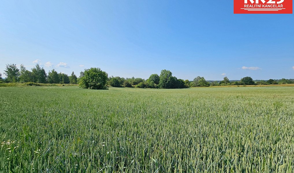 Prodej komerčního pozemku 2 385 m², Cheb – náhled fotky 6