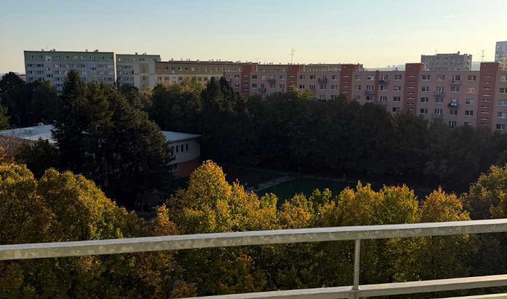 Pronájem bytu 2+1 55 m², Brno – náhled fotky 2