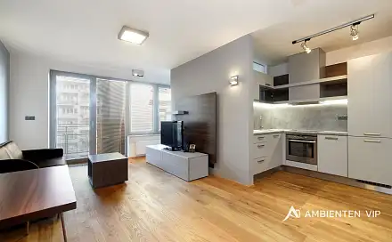 Pronájem bytu 1+kk 40 m², Kopečná, Brno - Staré Brno