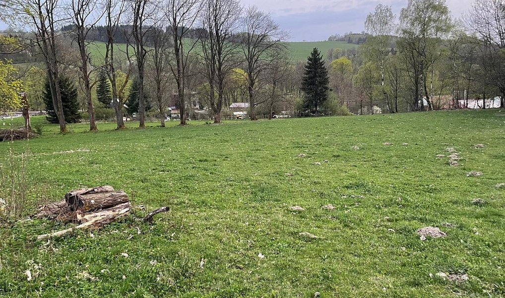 Prodej stavebního pozemku 2 391 m², Pulečný – náhled fotky 2