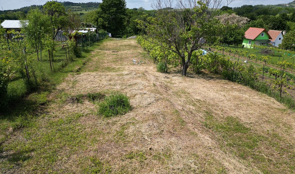 Prodej zahrady 935 m², Mikulov – náhled fotky 13