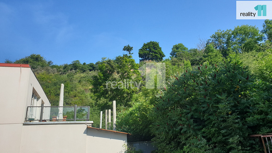 Prodej louky 217 m² — photo 2