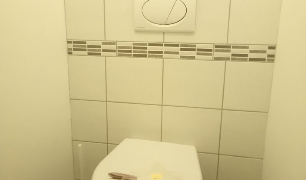 Pronájem bytu 1+1 37 m², Ostrava – náhled fotky 6