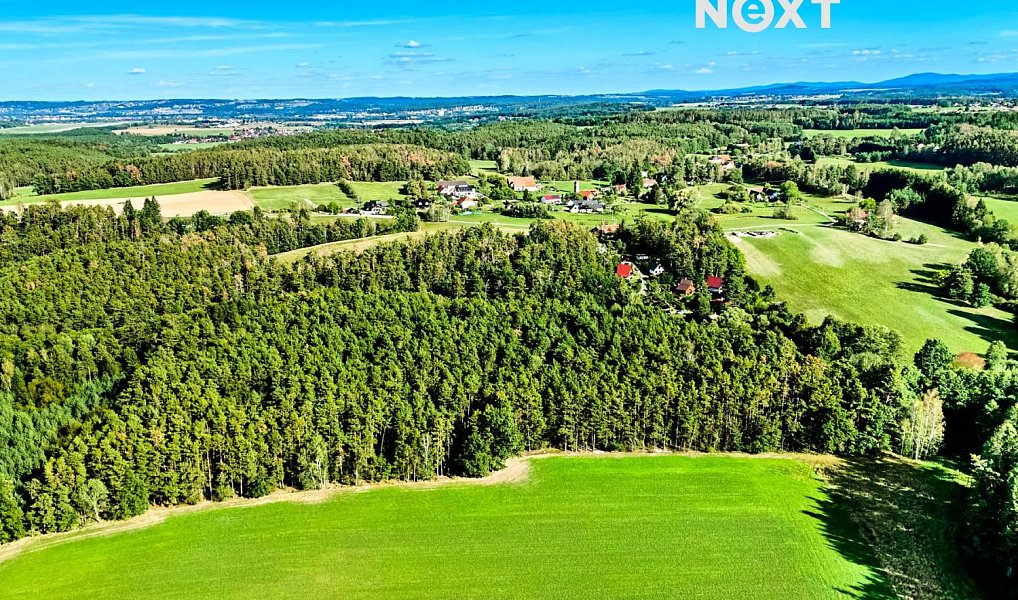 Prodej lesa 13 404 m², Hradce – náhled fotky 14