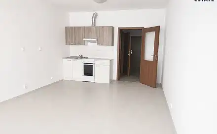 Pronájem bytu 1+kk 41 m²