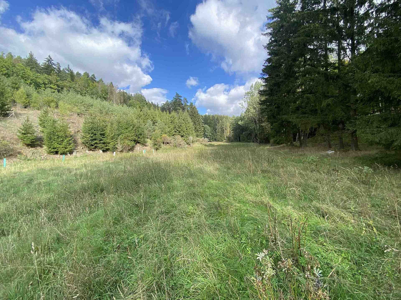 Prodej pole 7 068 m² – fotografie 3
