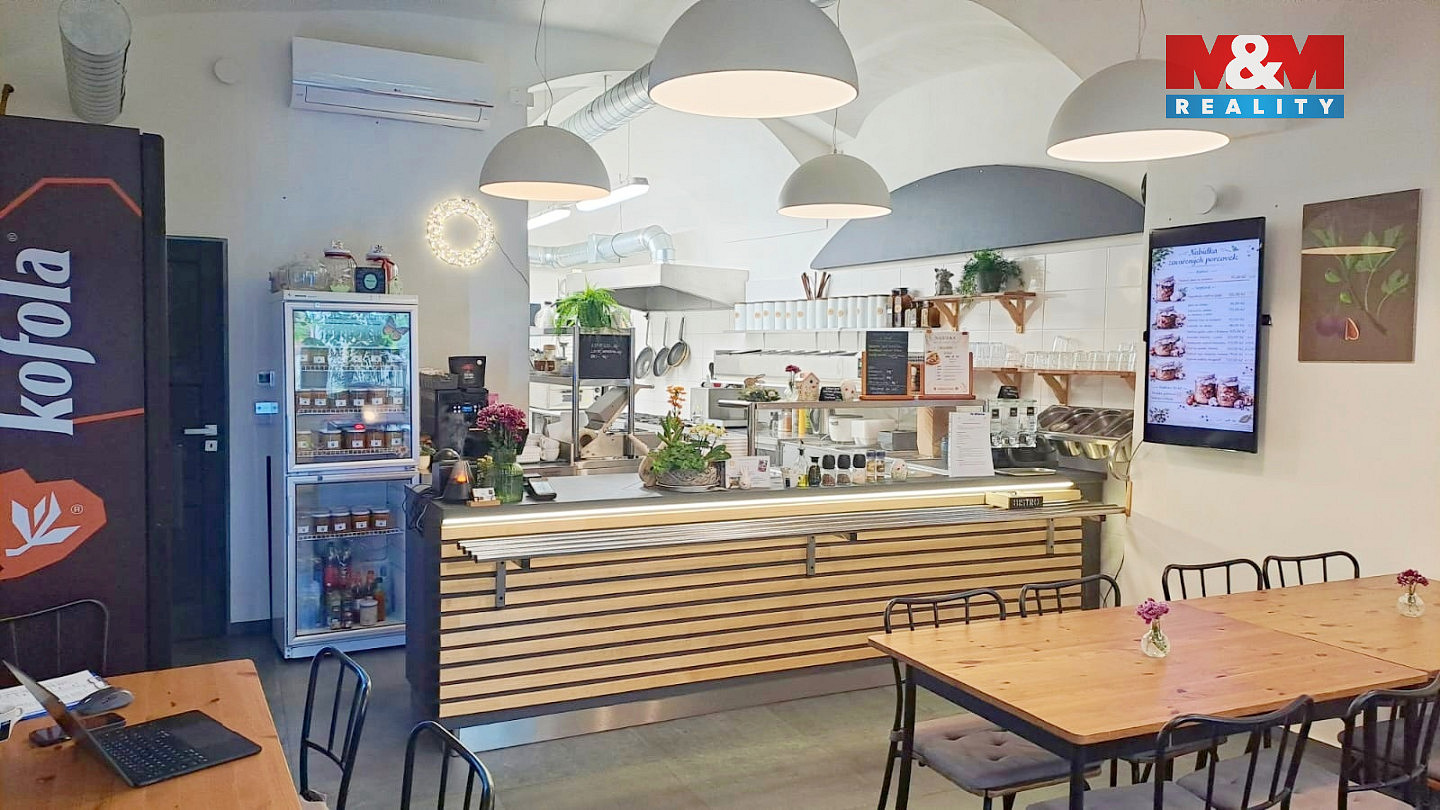 Pronájem obchodních prostor 45 m² – další