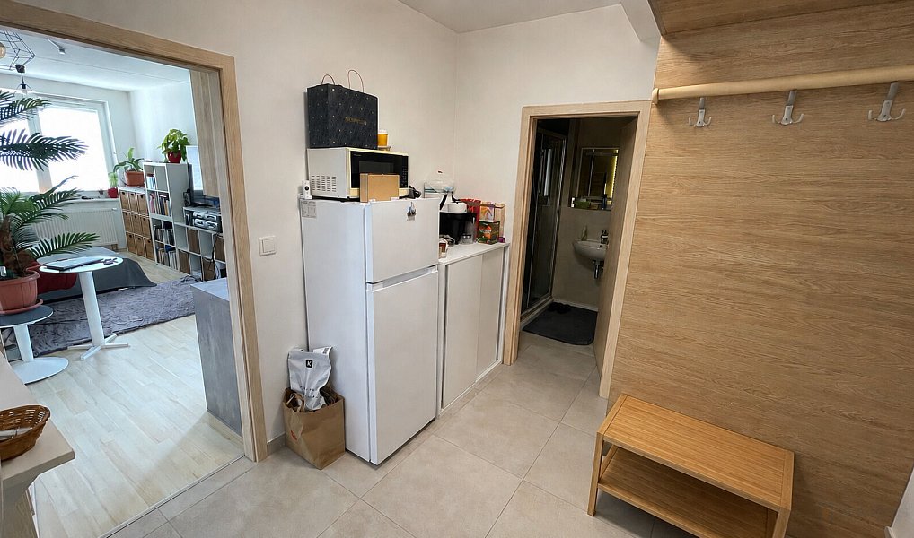 Prodej bytu 1+kk 37 m², Praha – náhled fotky 6
