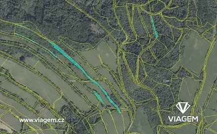 Prodej lesa 2 835 m², Zubrnice, okres Ústí nad Labem