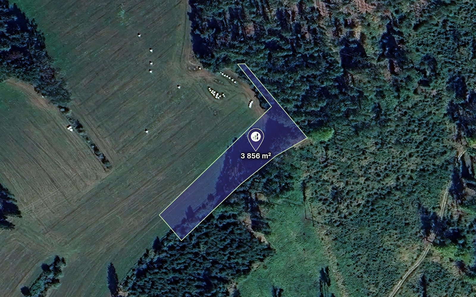 Prodej louky 3 856 m²