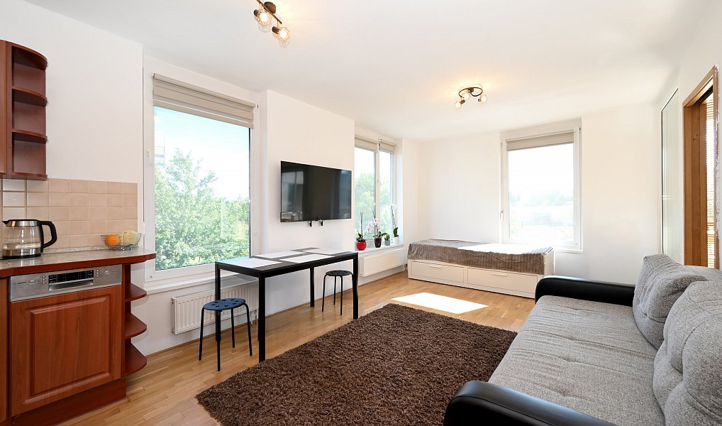 Prodej bytu 2+kk 47 m², Praha – náhled fotky 7