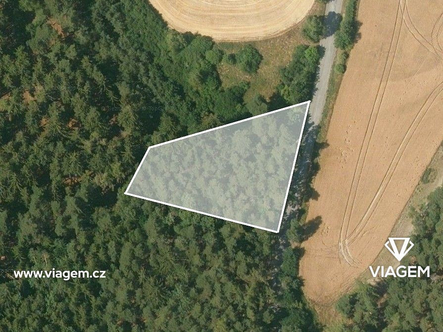 Les 2 229 m², Podíl 50 % o výměře 1 115 m² – pohled 2