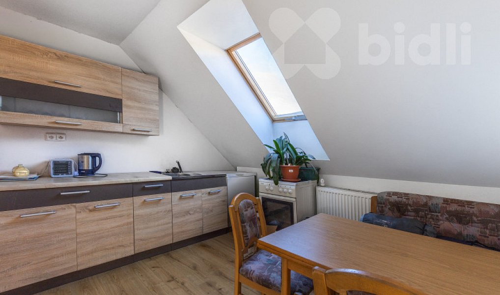 Prodej domu 415 m² s pozemkem 888 m², Kraselov – náhled fotky 13