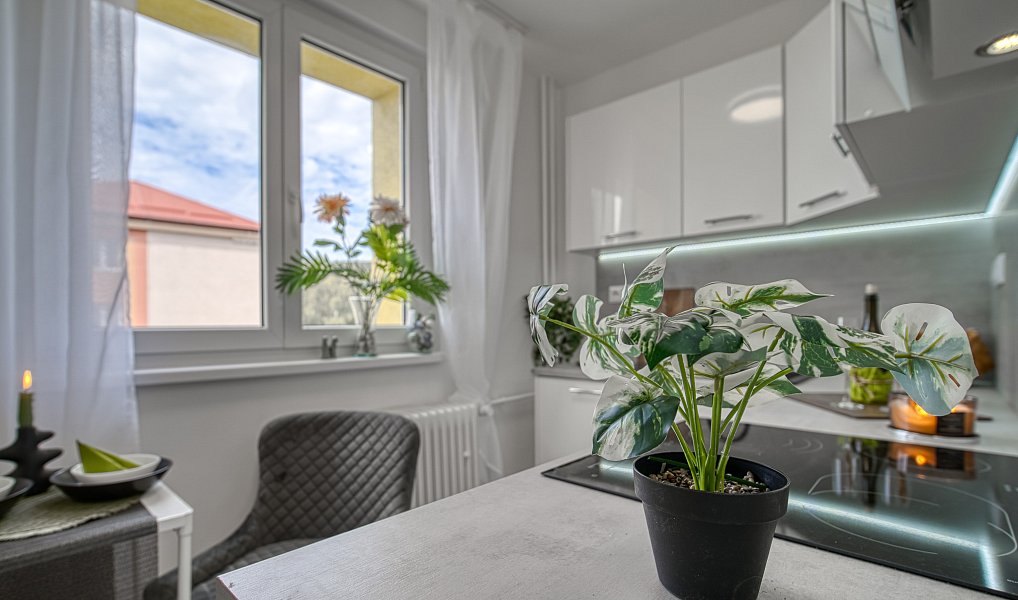 Pronájem bytu 2+1 55 m², Most – náhled fotky 4
