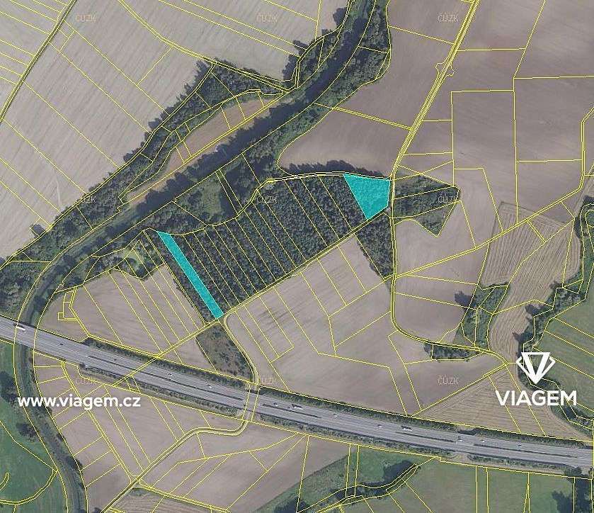 Prodej lesa 604 m² – fotografie 2