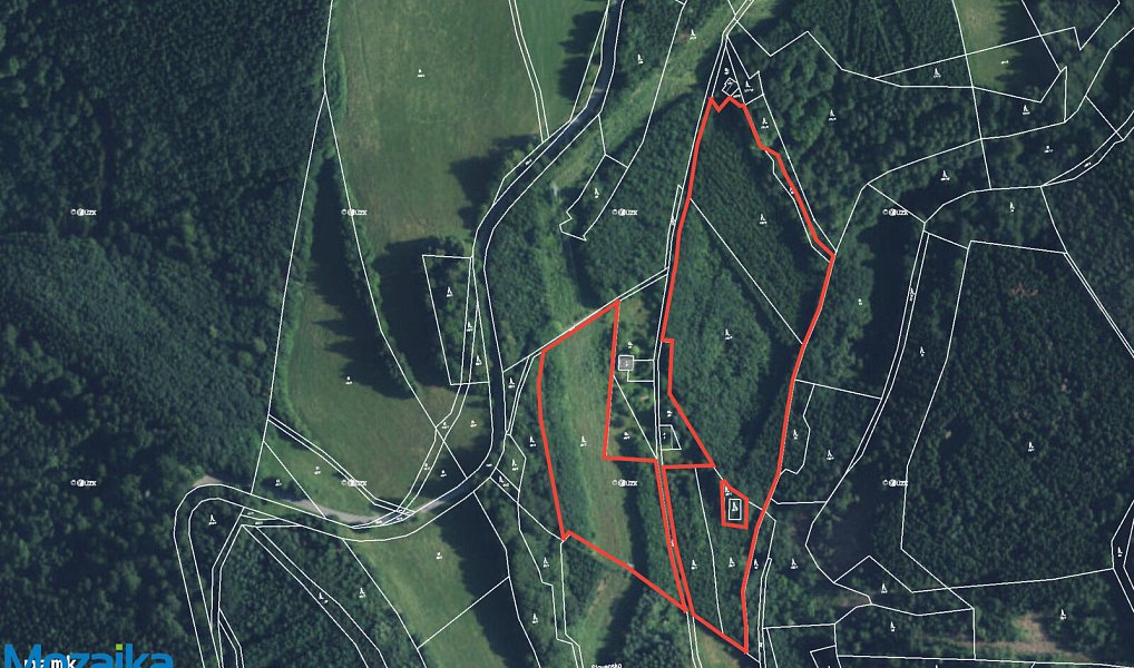 Prodej lesa 40 093 m², Strážná – náhled fotky 3
