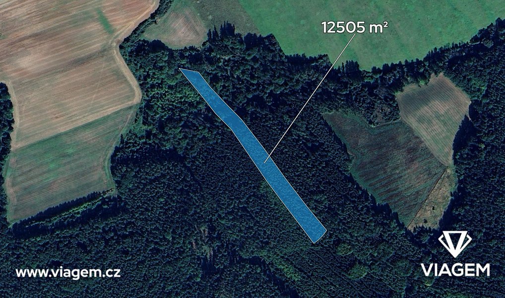 Prodej lesa 5 210 m², Pnětluky – náhled fotky 2