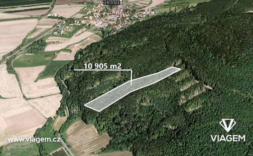 Prodej lesa 5 452 m², Hřivice, okres Louny