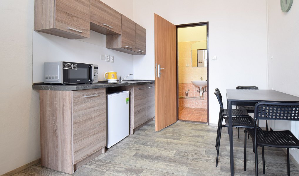 Pronájem bytu 2+1 44 m², Brno – náhled fotky 5
