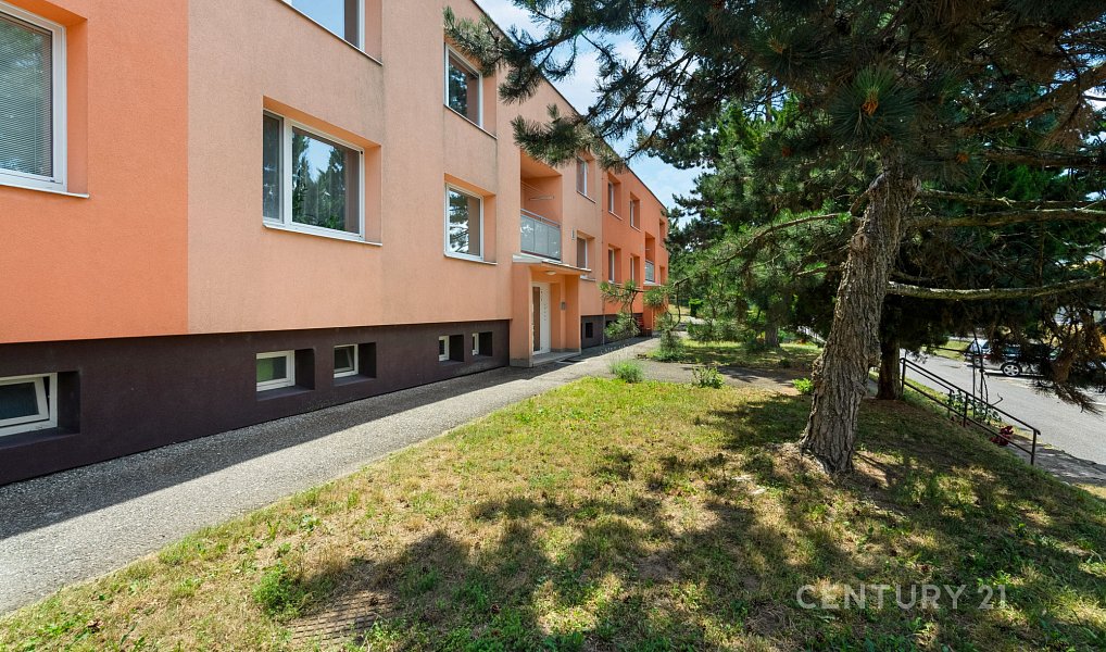 Prodej bytu 3+1 73 m², Rebešovice – náhled fotky 19