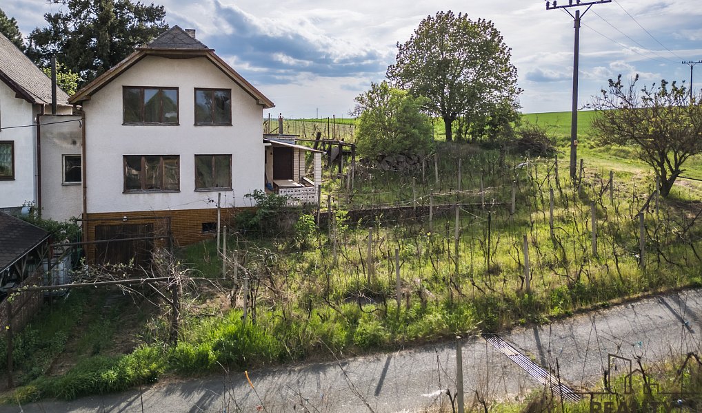 Prodej vinného sklepa s vinohradem ve Skoronicích, sklep + vinohrad Skoronice, Skoronice – náhled fotky 3