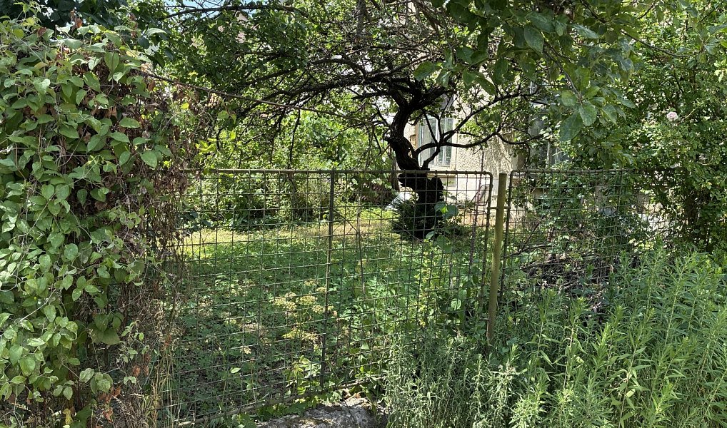 Prodej stavebního pozemku 779 m², Vyškov – náhled fotky 2