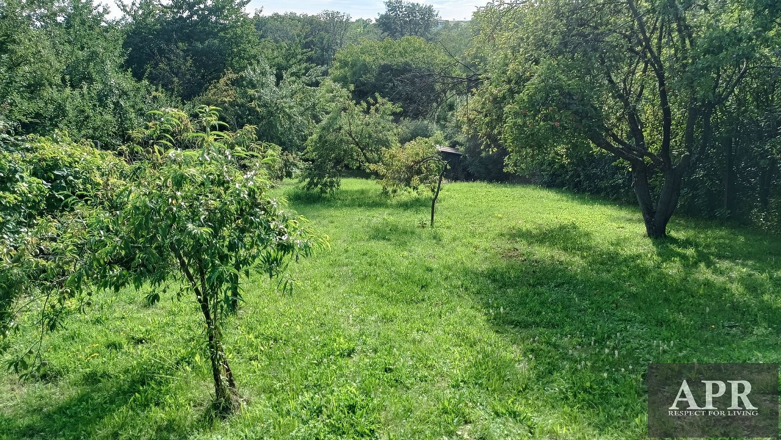 Prodej chaty/chalupy 25 m² s pozemkem 1 078 m² — photo 4
