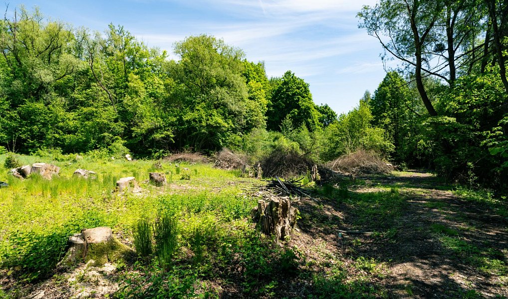 Prodej zahrady 2 646 m², Orlová – náhled fotky 5