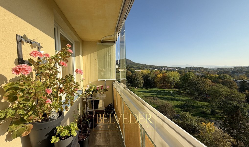 Prodej bytu 4+kk 85 m², Teplice – náhled fotky 17