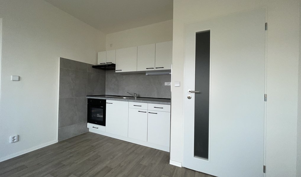 Pronájem bytu 1+1 35 m², Ústí nad Labem – náhled fotky 2