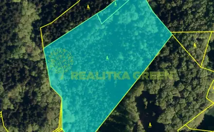 Prodej lesa 22 655 m², Pozděchov, okres Vsetín
